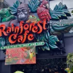 Rainforest Cafe Menu With Prices usamenuprices